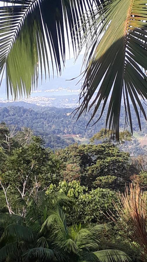 Som Das Aguas Parati Esterno foto